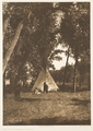 Camp in the cottonwoods - Cheyenne