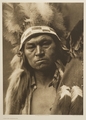 Cayuse Warrior