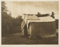 A Mat House- Skokomish