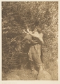 The Berry Picker - Clayoquot