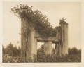 A Haida Chief's Tomb at Yan